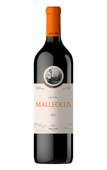 Malleolus