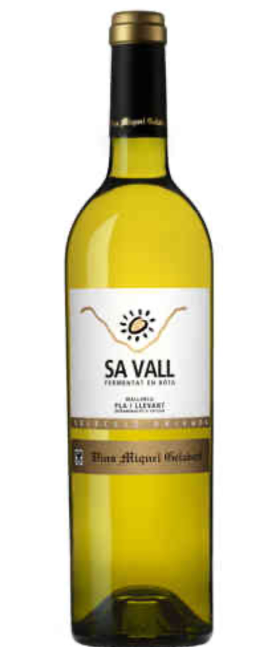 Miquel Gelabert Sa Vall