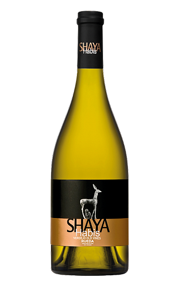Shaya Habis 2019