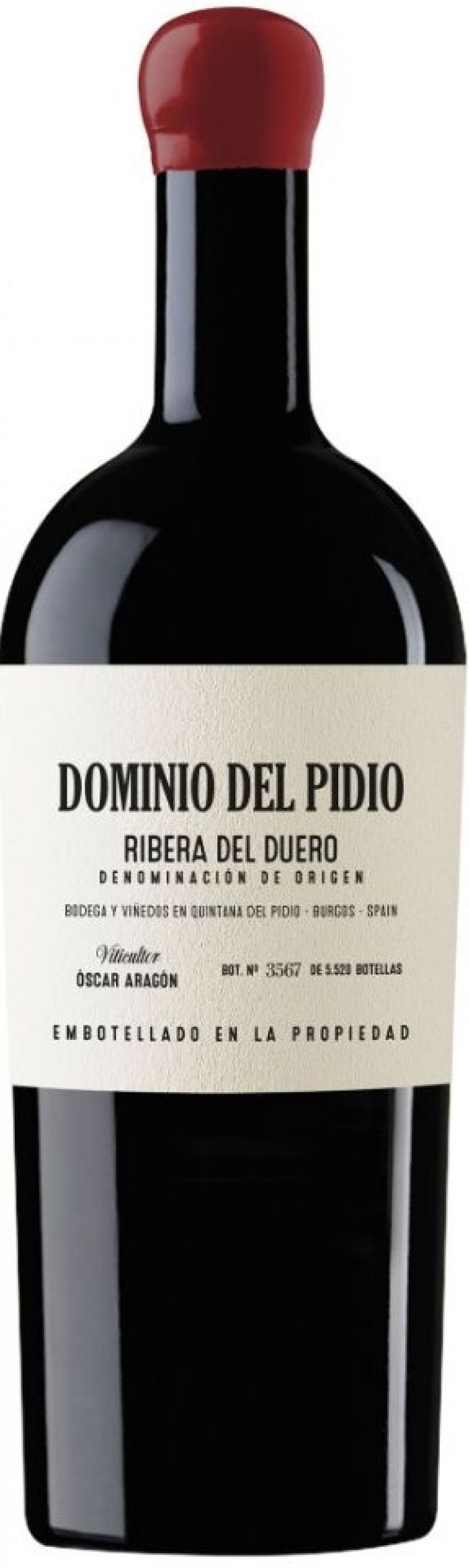 Dominio del Pidio