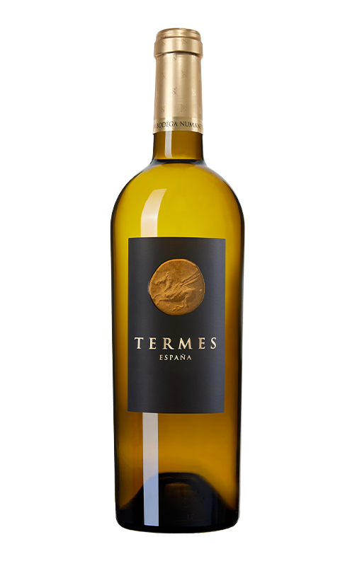 Termes