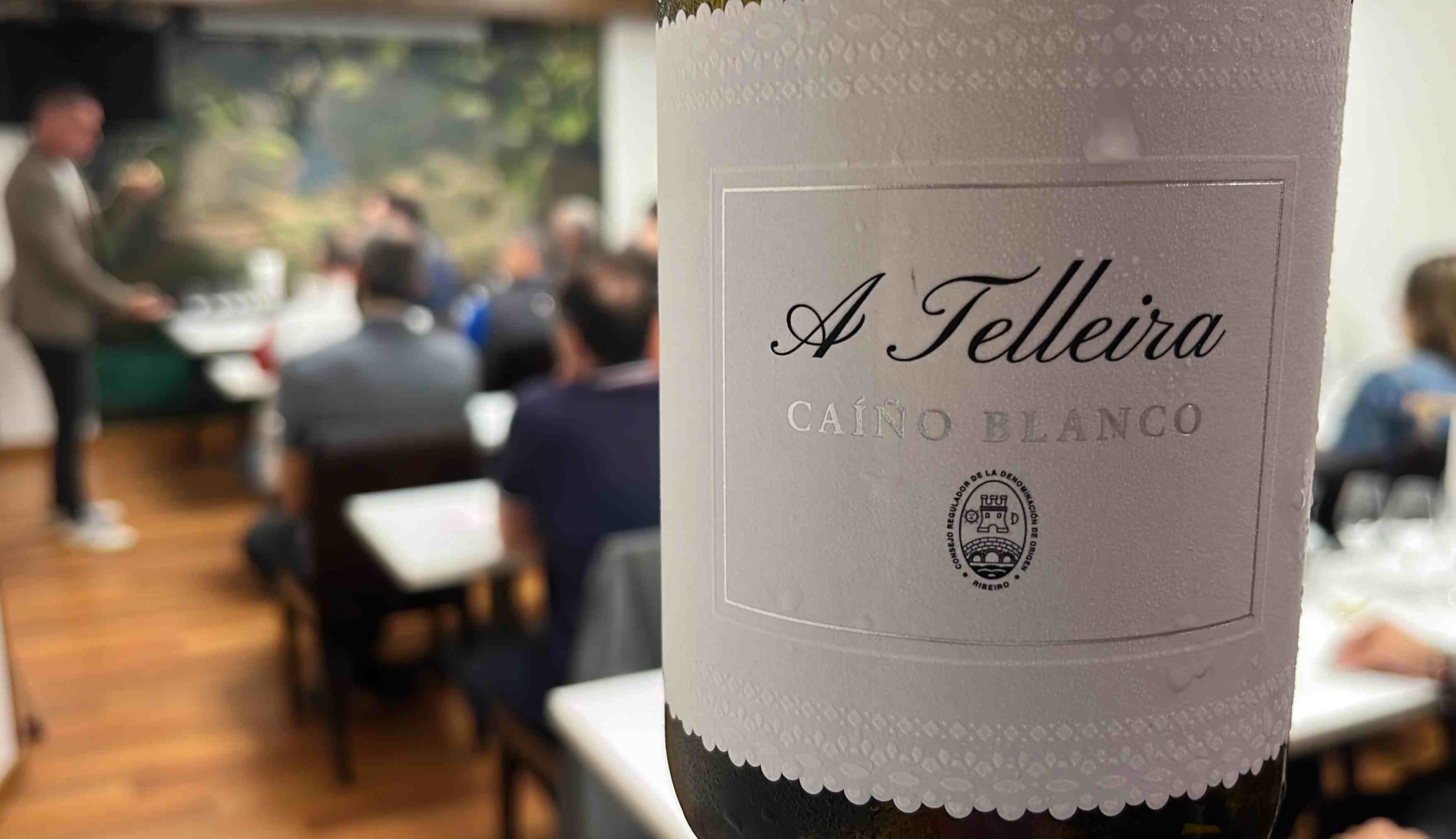 A Telleira Caiño Blanco