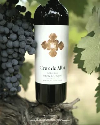Cruz de Alba roble