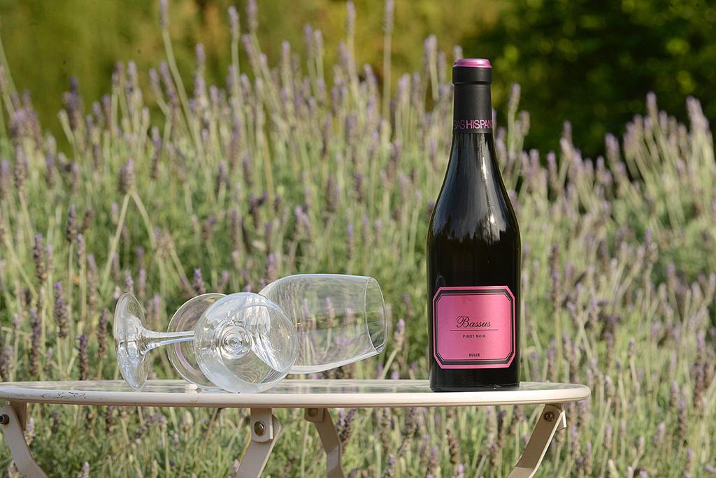 Bassus  Pinot Noir Dulce