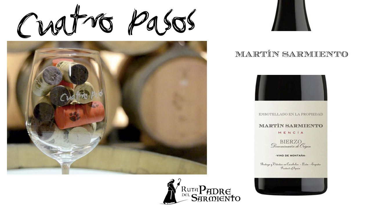 Martin Sarmiento 2011