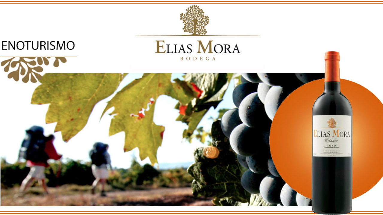 Elías Mora Cza.