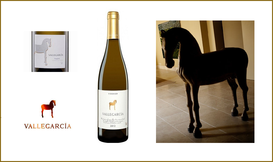 Vallegarcía Viognier