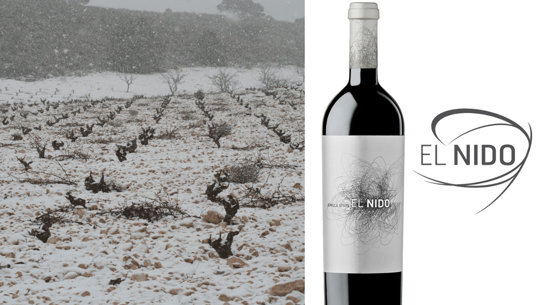 grupo