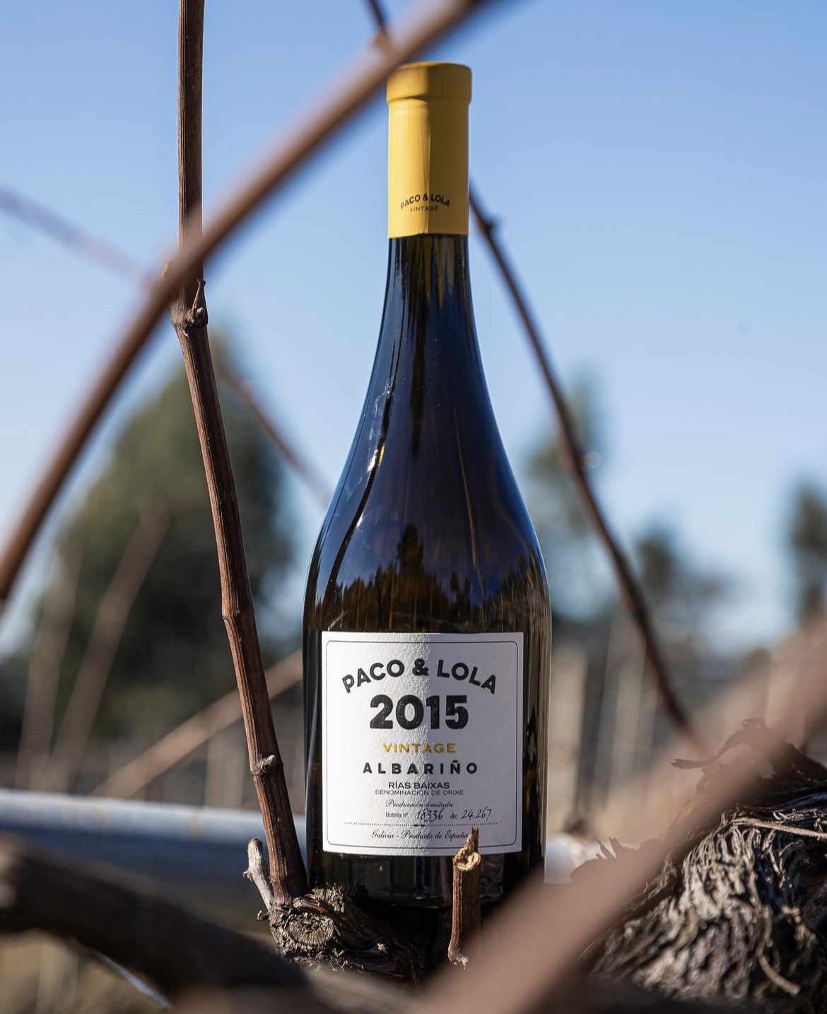 Paco & Lola Vintage Magnum 2013