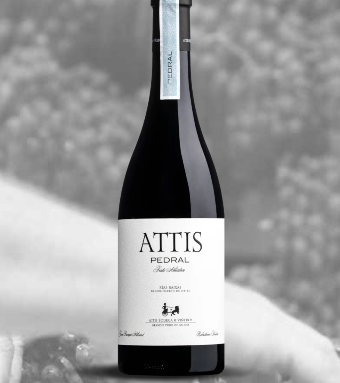 Attis Pedral