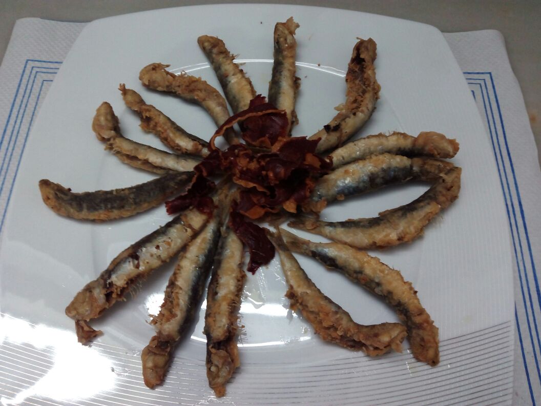 platoESPANOL