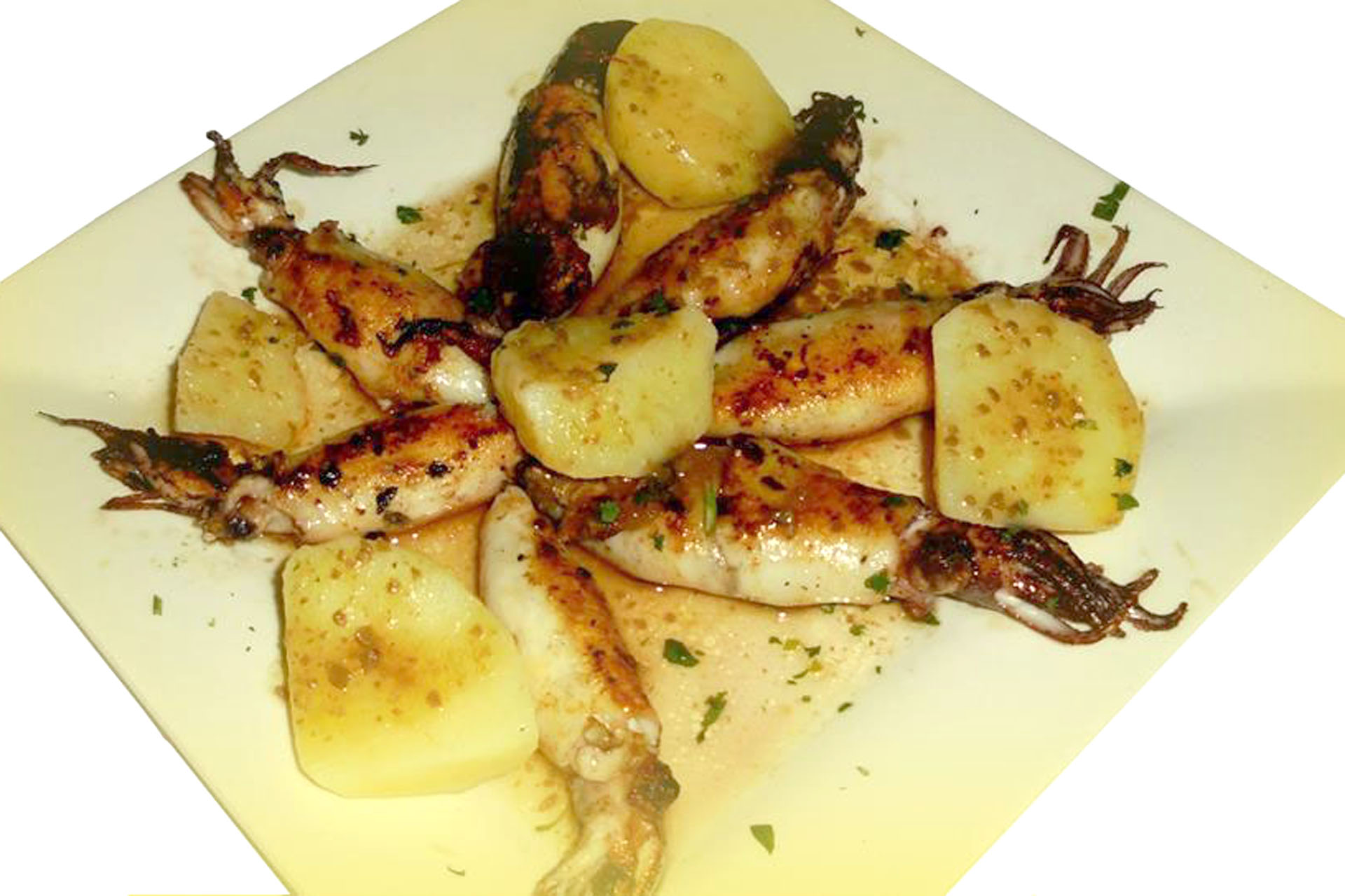 platoESPANOL