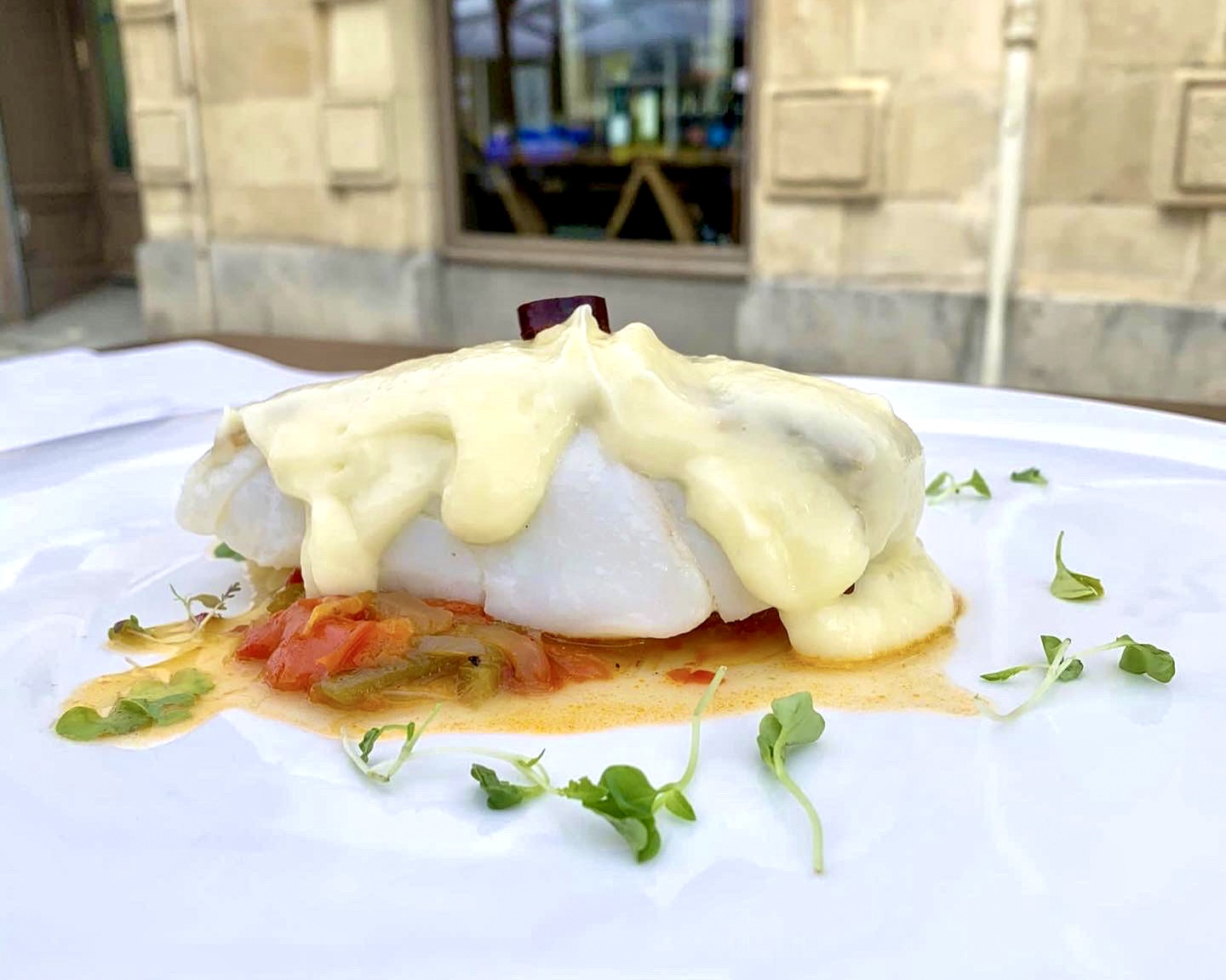 platoESPANOL